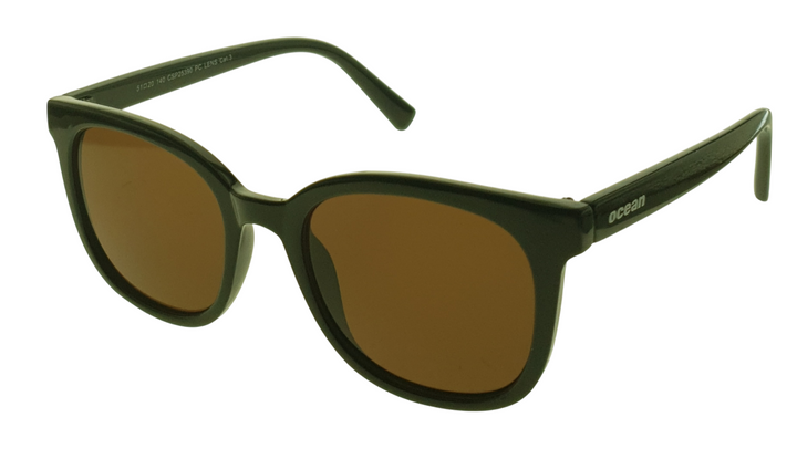 Sunglasses (FF 609)