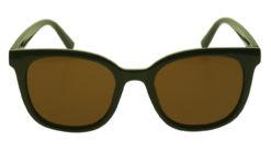 Sunglasses (FF 609)