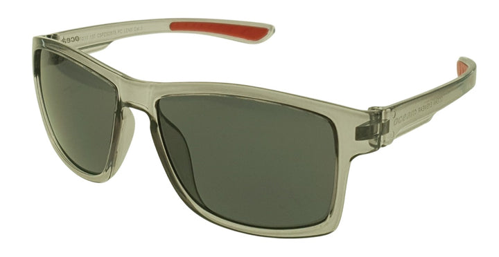 Sunglasses (FF619)