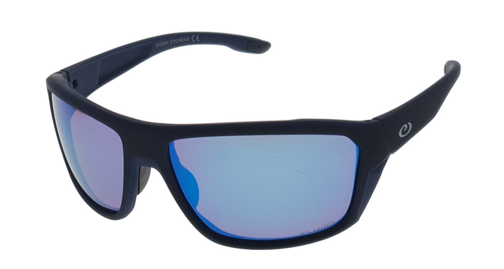 Sunglasses (PF 653)