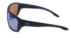 Sunglasses (PF 653)