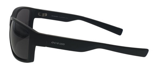 Sunglasses ( PI 526)