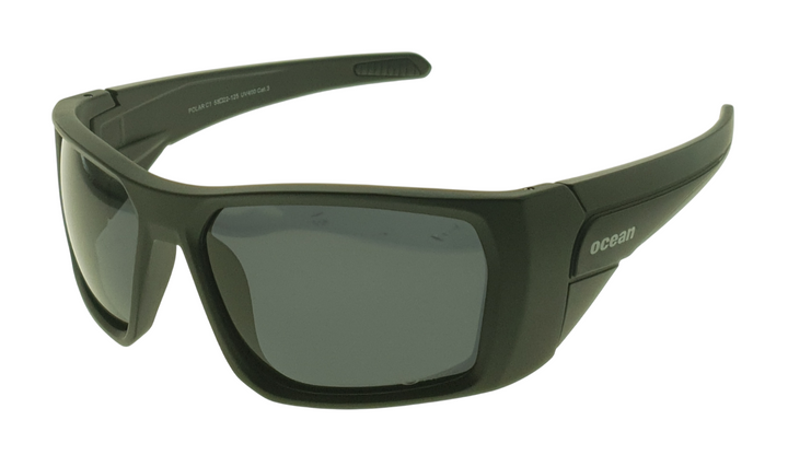 Polarized Sunglasses (PI 531)