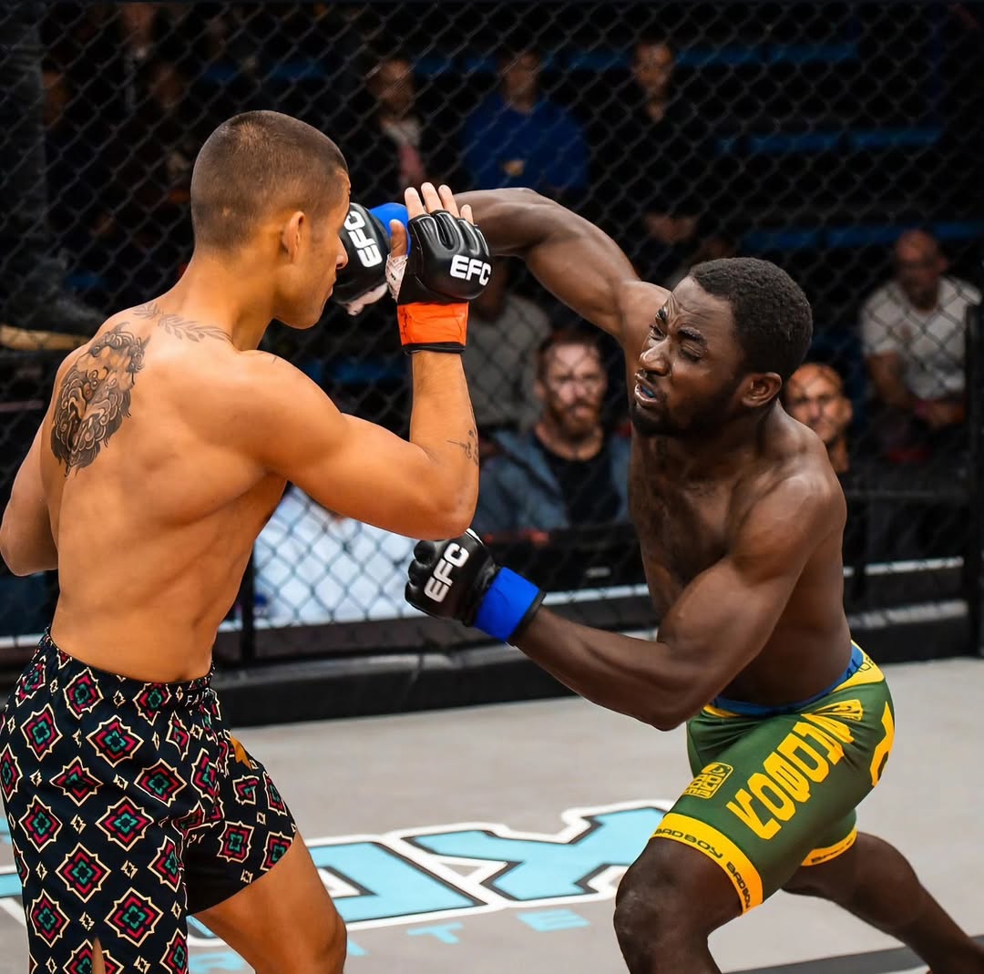 Bad Boy Fight Shorts-Green & Gold