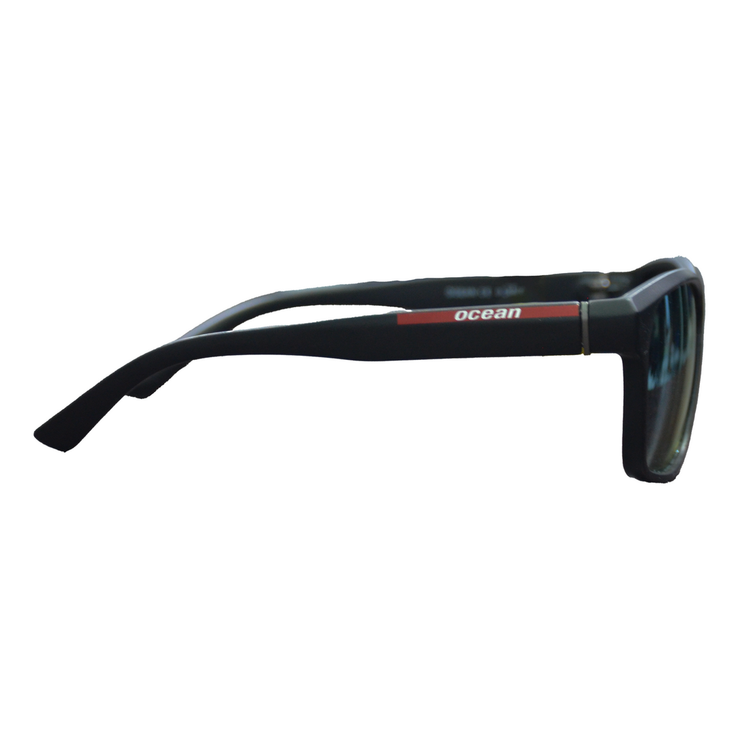 Sunglasses (FF598)
