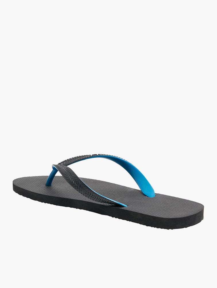 Blend Base - Black / Blue