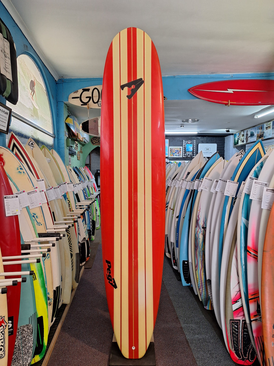 PEG EPS LONGBOARD 9'2 x 22 3/4 x 3 = 76.3L