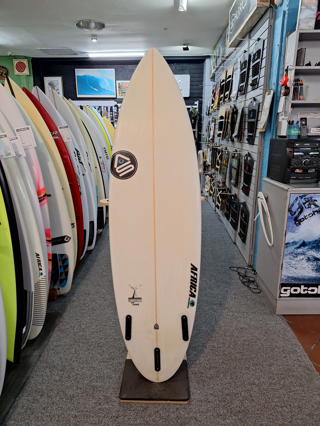 AFRICA SURF PU TUNA 6'1 X 19 1/8" X 2 9/16" = 31.8L